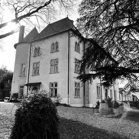 Bed And Breakfast Le Chateau De Morey Belleau Eksteriør bilde